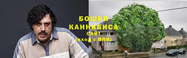мяу мяу кристалл Ельня