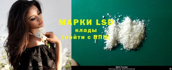 spice Елизово