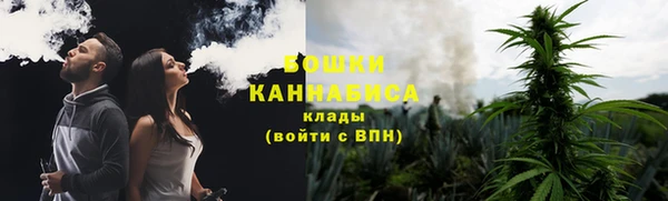 дурь Елабуга