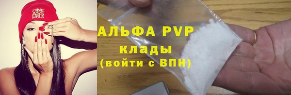 spice Елизово