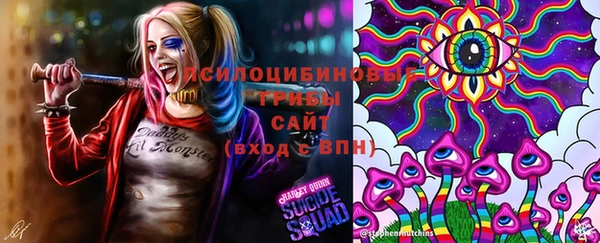 мяу мяу кристалл Ельня