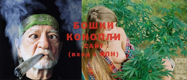 дурь Елабуга