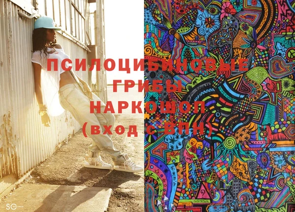 spice Елизово