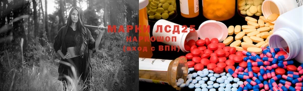 spice Елизово