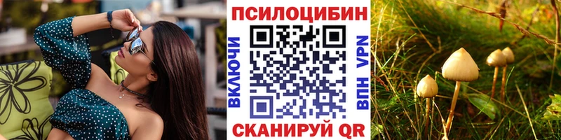 Псилоцибиновые грибы GOLDEN TEACHER  Купить закладки  Химки 