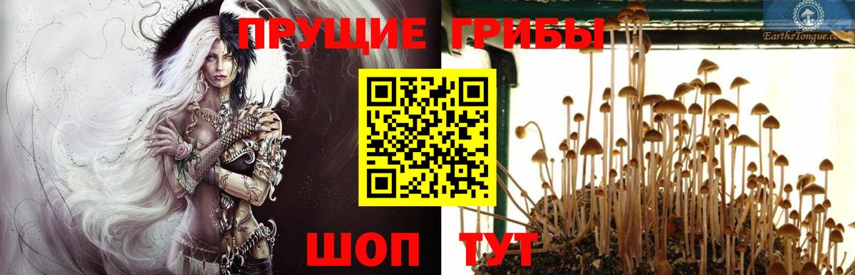 Псилоцибиновые грибы Magic Shrooms Химки