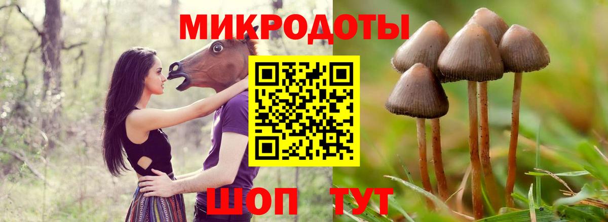 Псилоцибиновые грибы мухоморы  Вход с VPN  Химки  Псилоцибиновые грибы MAGIC MUSHROOMS 